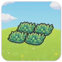 Hautes herbes vertes